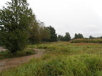 P8300421
