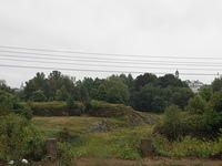 P8300426