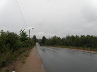 P8300430