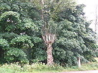 P8300431