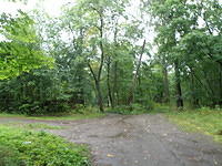 P8300433