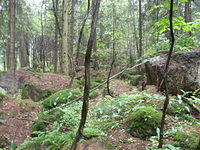 P8300447