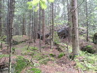 P8300450