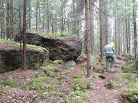 P8300453