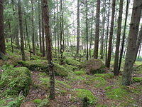 P8300462