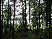 P8300466