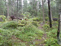 P8300469