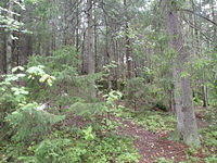 P8300473