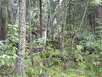 P8300475
