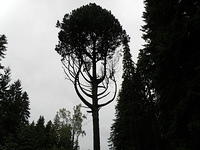 P8300482