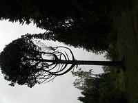 P8300484