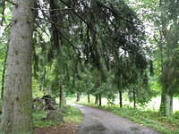 P8300494