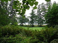 P8300495