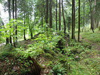 P8300496