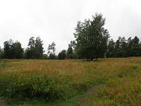P8300499