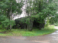 P8300505