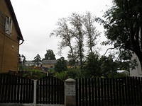 P8300508