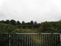 P8300520