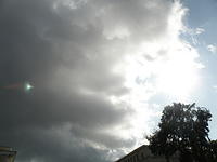 P8310095