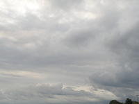 P8310198