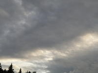 P8310203