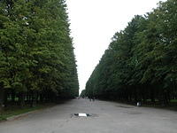 P8310204
