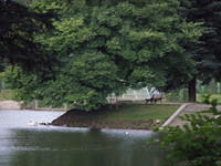 P8310206