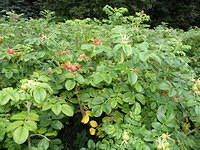 P8310207