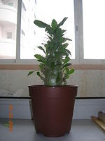 DSCN0164