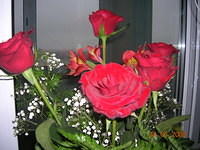 DSCN1067