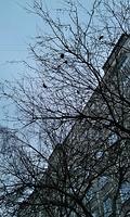 IMAG0864