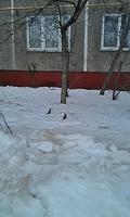 IMAG0866