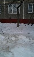IMAG0869