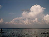 PIC0099