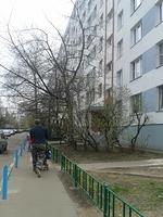 20140423 113225