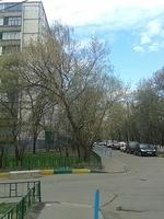 20140423 113231