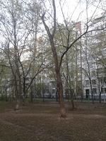 20140427 071308