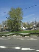 20140427 121645