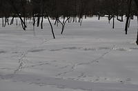  DSC1472