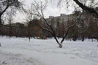  DSC1482