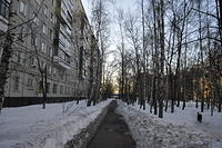  DSC2060
