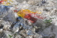  DSC2227 349269