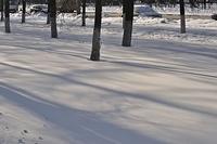  DSC5182