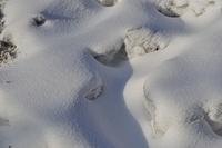  DSC5189