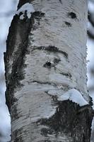  DSC5370