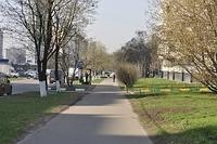  DSC5403
