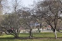  DSC5410