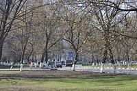  DSC5416