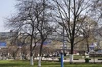  DSC5435