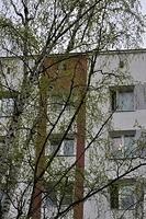  DSC5498